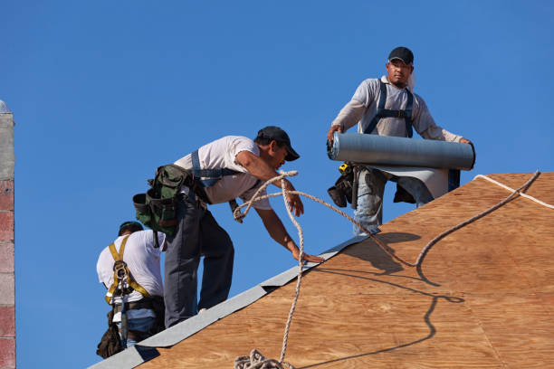 Best Storm Damage Roof Repair  in Superior, AZ